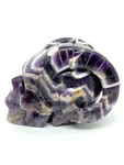 Chevron Amethyst Horned Skull #164