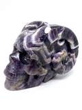 Chevron Amethyst Horned Skull #164