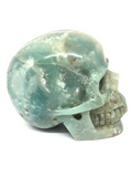 Amazonite Skull #330