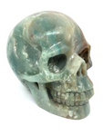 Amazonite Skull #330