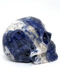 Sodalite Skull #380