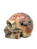Crazy Lace Agate Skull #46 - 5cm