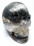 Bubble Ocean Jasper Skull #465