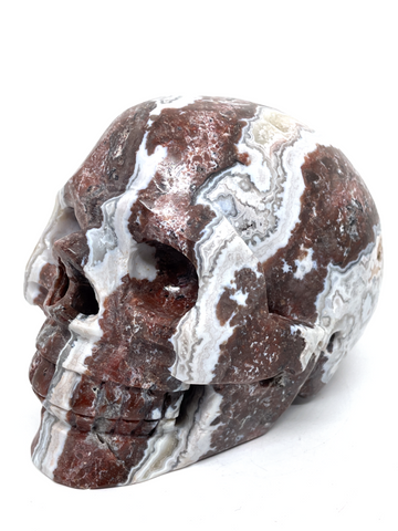 Mexican Agate (Crazy Lace Agate) Skull #466
