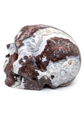 Mexican Agate (Crazy Lace Agate) Skull #466