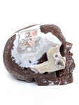 Mexican Agate (Crazy Lace Agate) Skull #466