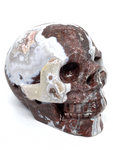 Mexican Agate (Crazy Lace Agate) Skull #466