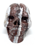 Mexican Agate (Crazy Lace Agate) Skull #466