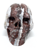 Mexican Agate (Crazy Lace Agate) Skull #466