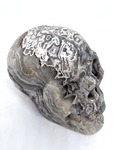 Mexican Agate (Crazy Lace Agate) Skull #467