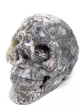 Mexican Agate (Crazy Lace Agate) Skull #467