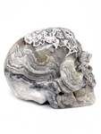 Mexican Agate (Crazy Lace Agate) Skull #467