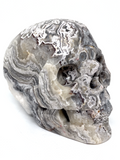 Mexican Agate (Crazy Lace Agate) Skull #467