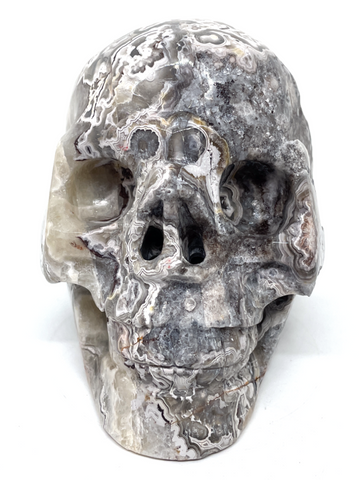 Mexican Agate (Crazy Lace Agate) Skull #467