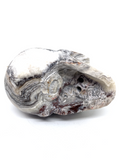 Mexican Agate (Crazy Lace Agate) Skull #467