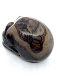 Black Banded Agate Skull #84 - 5cm