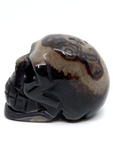 Black Banded Agate Skull #84 - 5cm