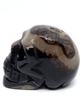 Black Banded Agate Skull #84 - 5cm