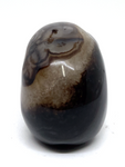 Black Banded Agate Skull #84 - 5cm