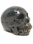 Ocean Jasper Skull #347