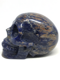 Sodalite Skull #355