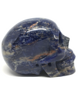 Sodalite Skull #355