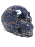 Sodalite Skull #355