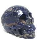 Sodalite Skull #355