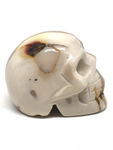 Mookaite Skull #395