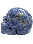 Sodalite Skull #298 - 5cm