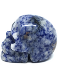 Sodalite Skull #299 - 5cm