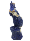 Sodalite Parrot #315