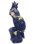 Sodalite Parrot #315