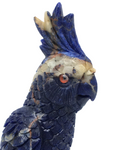 Sodalite Parrot #315