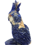 Sodalite Parrot #315