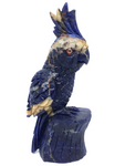 Sodalite Parrot #315