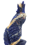 Sodalite Parrot #315