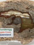 Thunderegg Slab #380 - Agate Creek Queensland