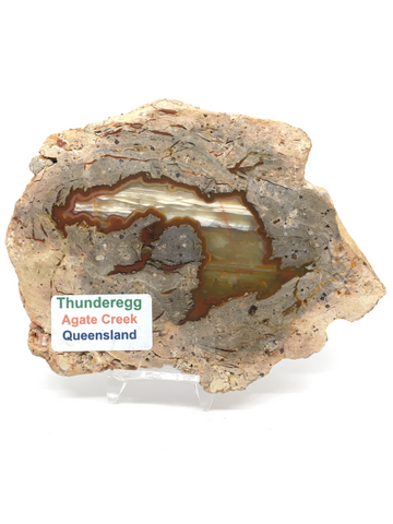 Thunderegg Slab #380 - Agate Creek Queensland