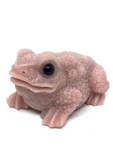 Pink Opal Toad #329