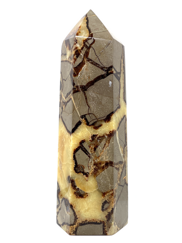 Septarian Tower #31