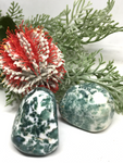 Tree Agate Jumbo Tumble Stone