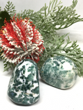 Tree Agate Jumbo Tumble Stone