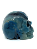 Trolleite Skull #335