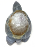 Agate Turtle #244