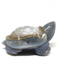 Agate Turtle #244