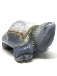 Agate Turtle #244