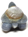 Agate Turtle #244