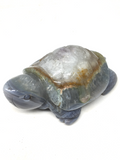 Agate Turtle #244