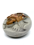 Polychrome Jasper Turtle Hatchling #83